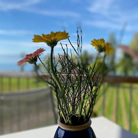 Appartementhotel Roehrenbach インメンシュタート・アム・ボーデンゼー エクステリア 写真
