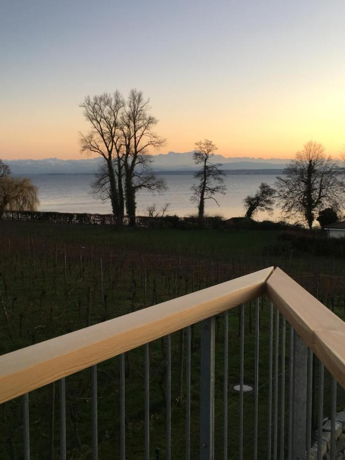 Appartementhotel Roehrenbach インメンシュタート・アム・ボーデンゼー エクステリア 写真
