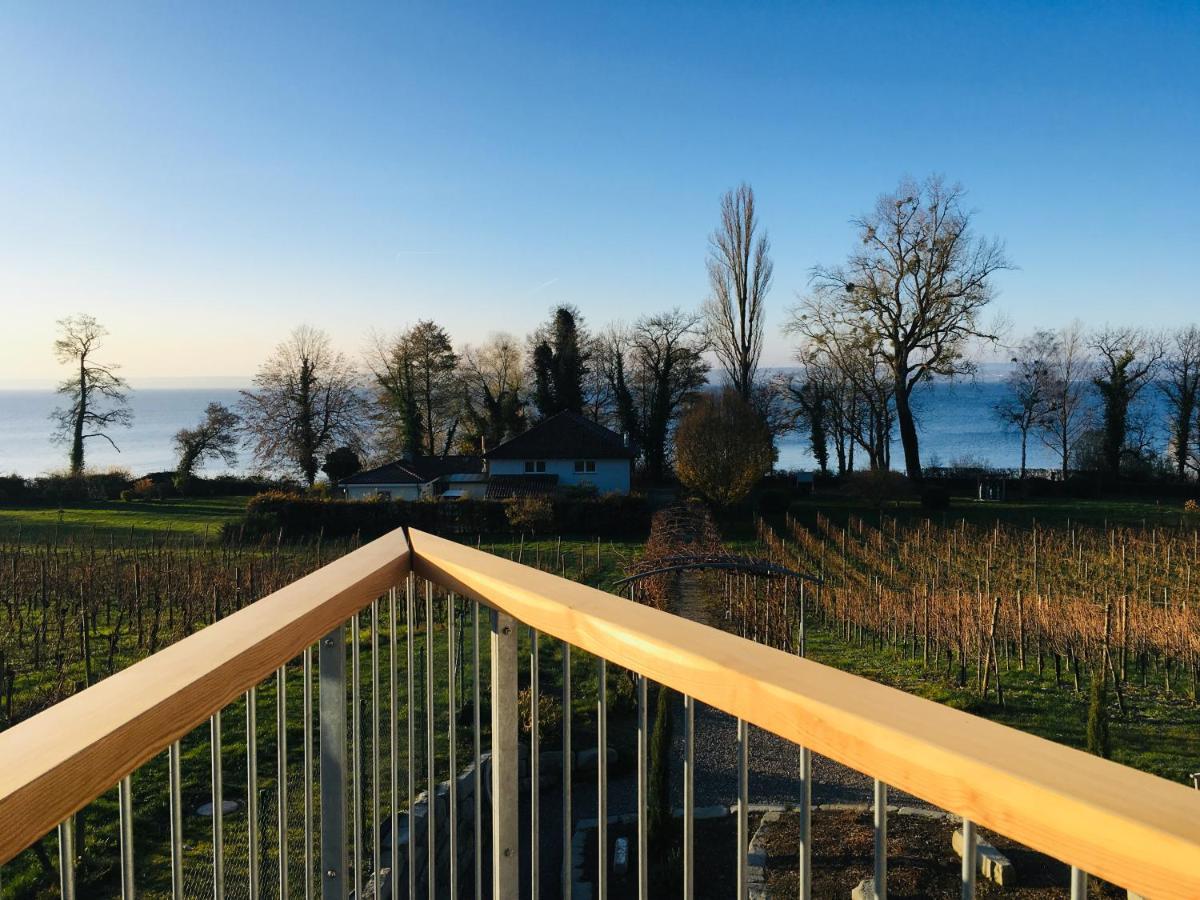 Appartementhotel Roehrenbach インメンシュタート・アム・ボーデンゼー エクステリア 写真