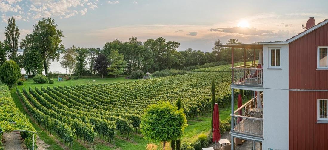 Appartementhotel Roehrenbach インメンシュタート・アム・ボーデンゼー エクステリア 写真