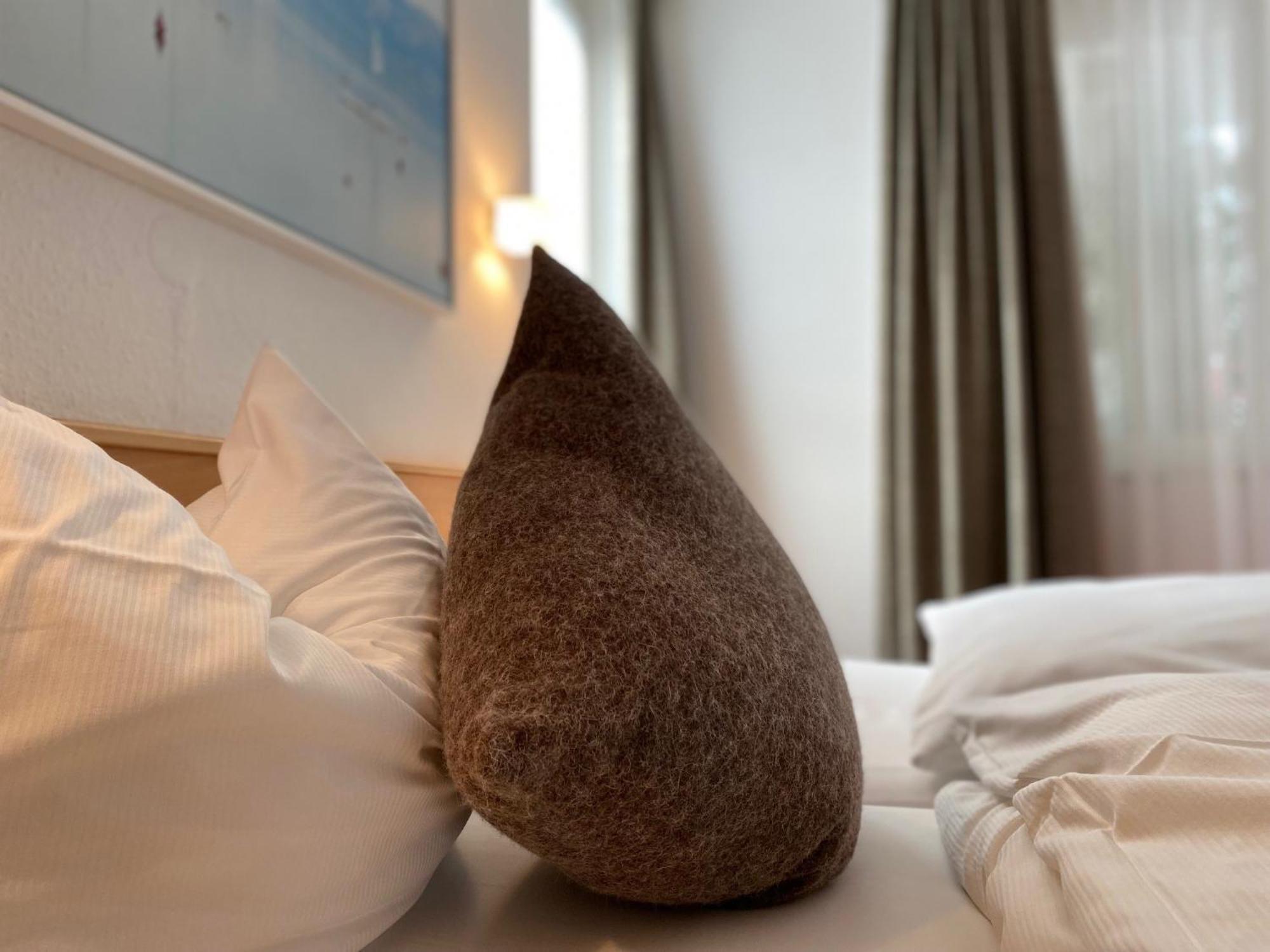 Appartementhotel Roehrenbach インメンシュタート・アム・ボーデンゼー エクステリア 写真